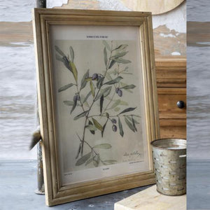 Framed Olive Print