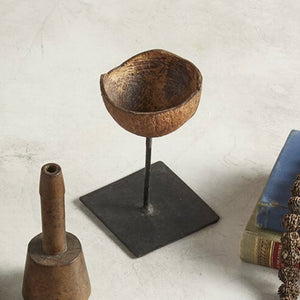 Coconut shell on stand