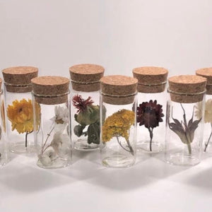 Dried floral test tubes
