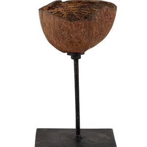 Coconut shell on stand